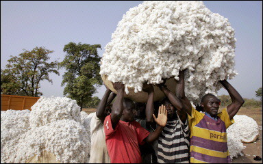 Katoenoogst te Dano Burkina Faso  AFP